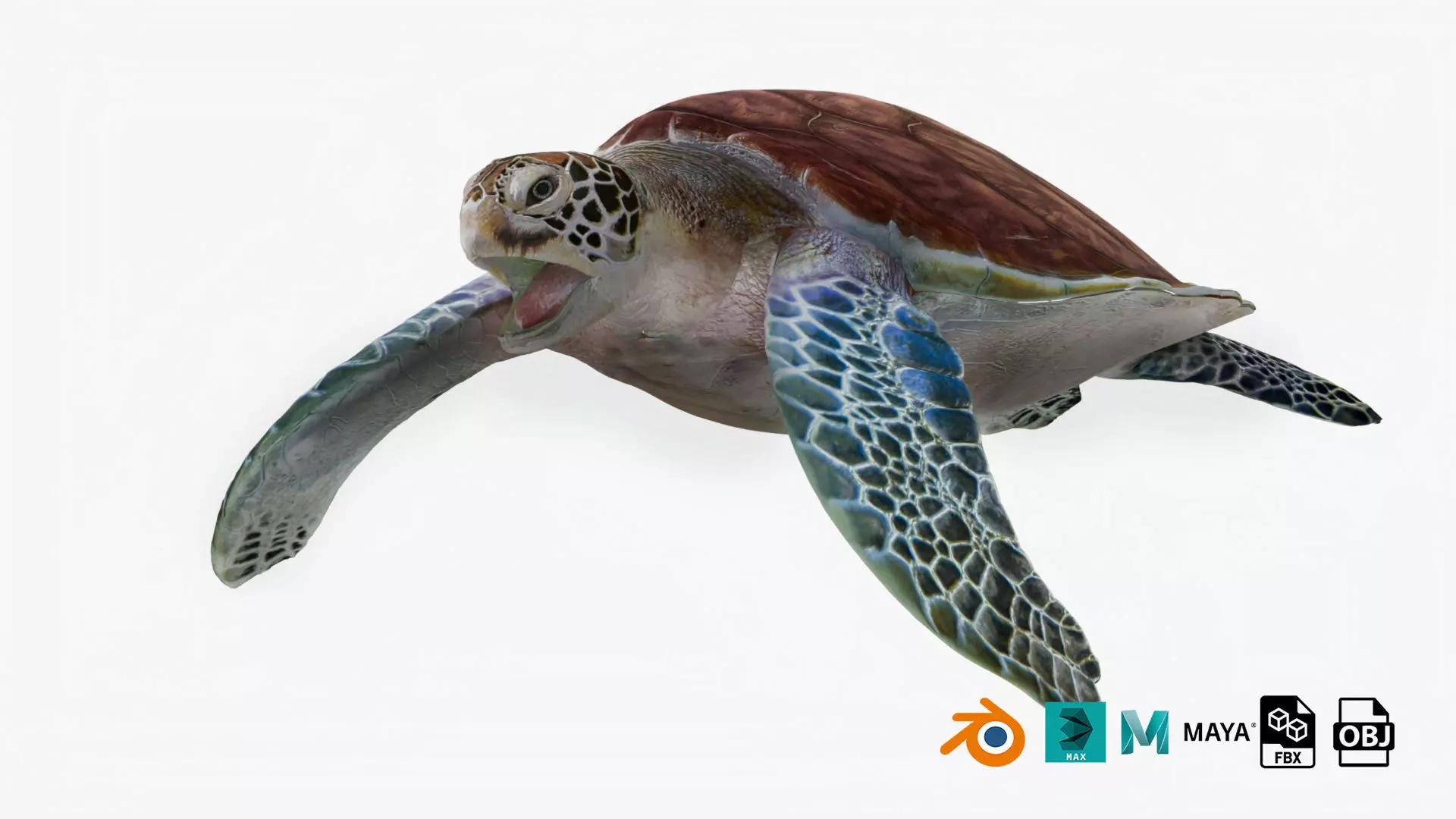 Realistic Rigged No Control Sea Turtle  Low-poly 3D model_0