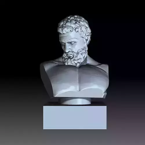 hercule bust