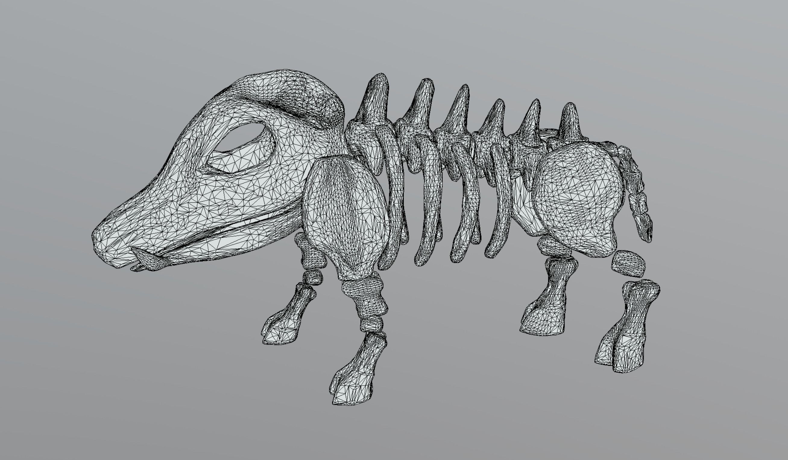 Boar Skeleton Low-poly 3D model_12