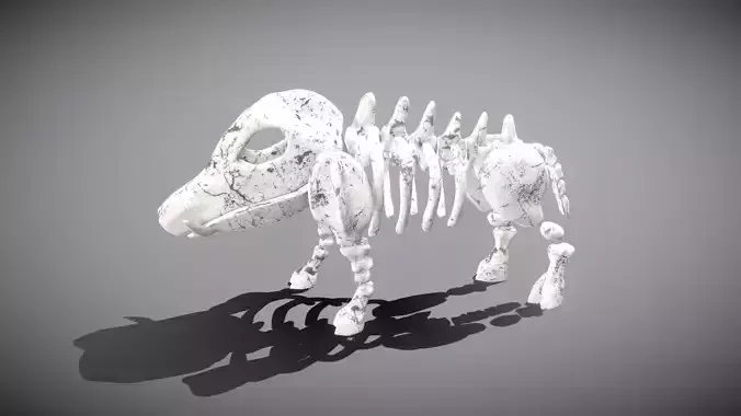 Boar Skeleton Low-poly 3D model