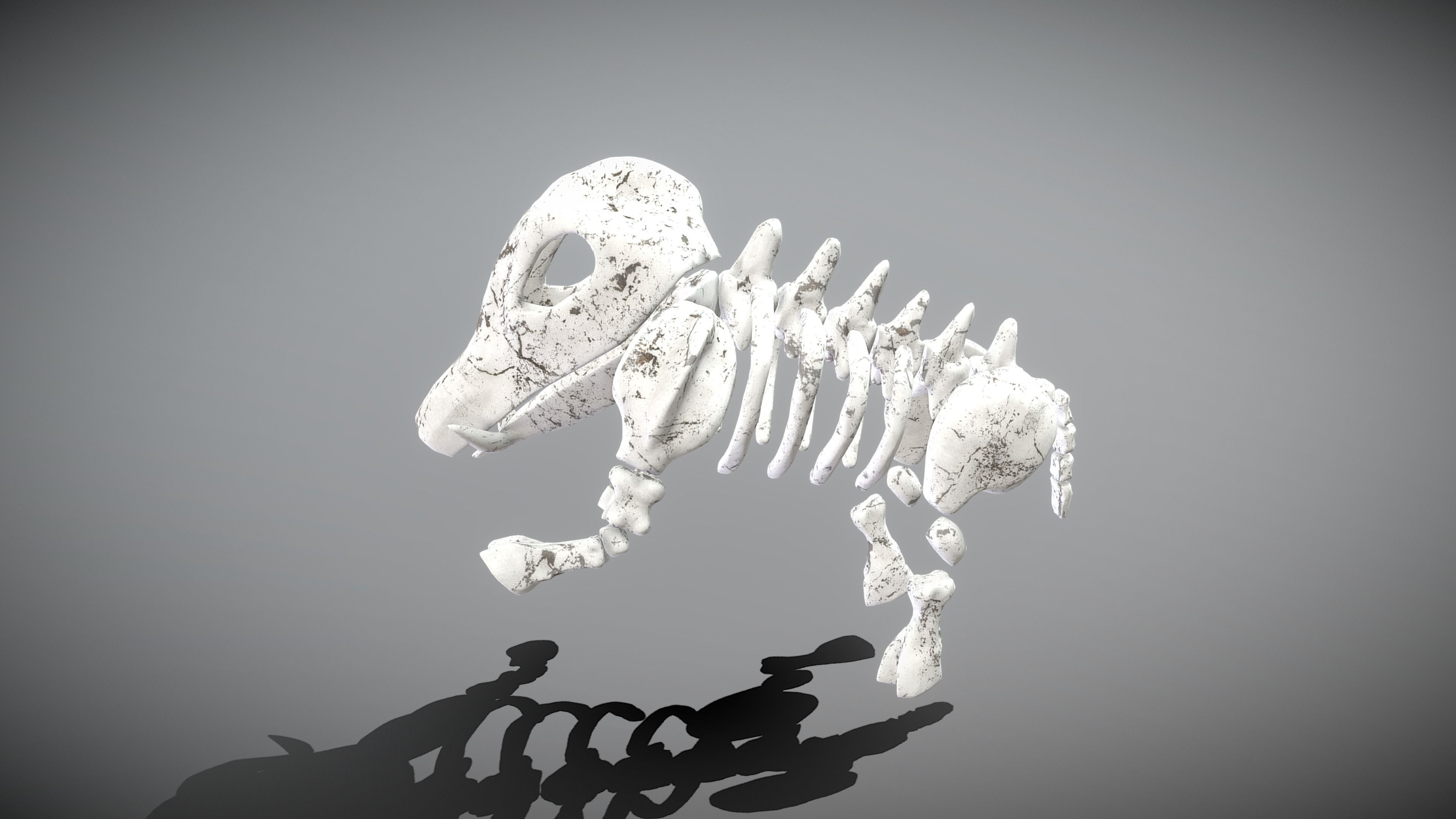 Boar Skeleton Low-poly 3D model_9