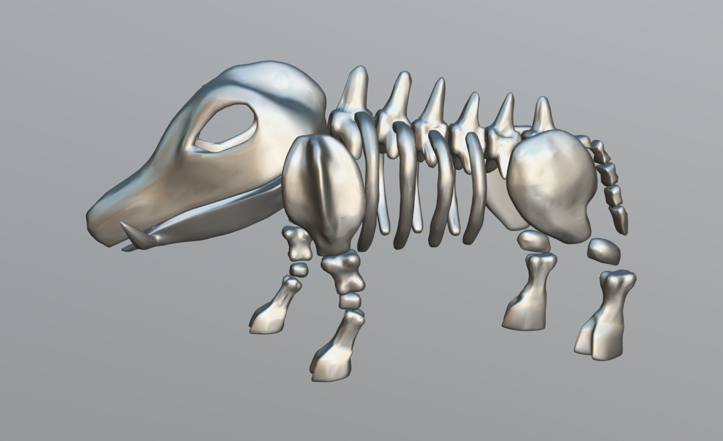 Boar Skeleton Low-poly 3D model_13