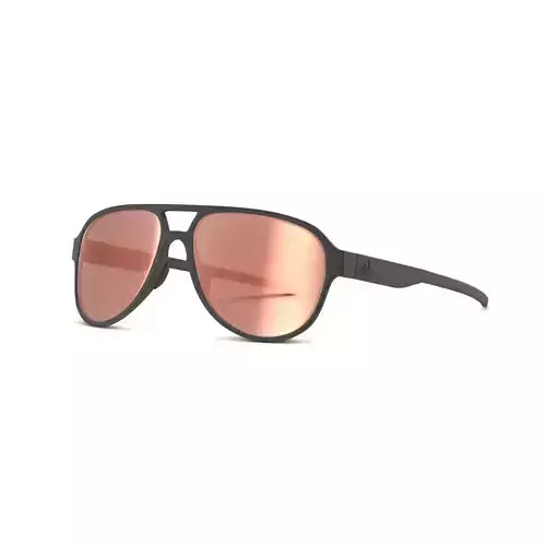 Adidas - AD33 75 9100 Sport glasses  Low-poly 3D model