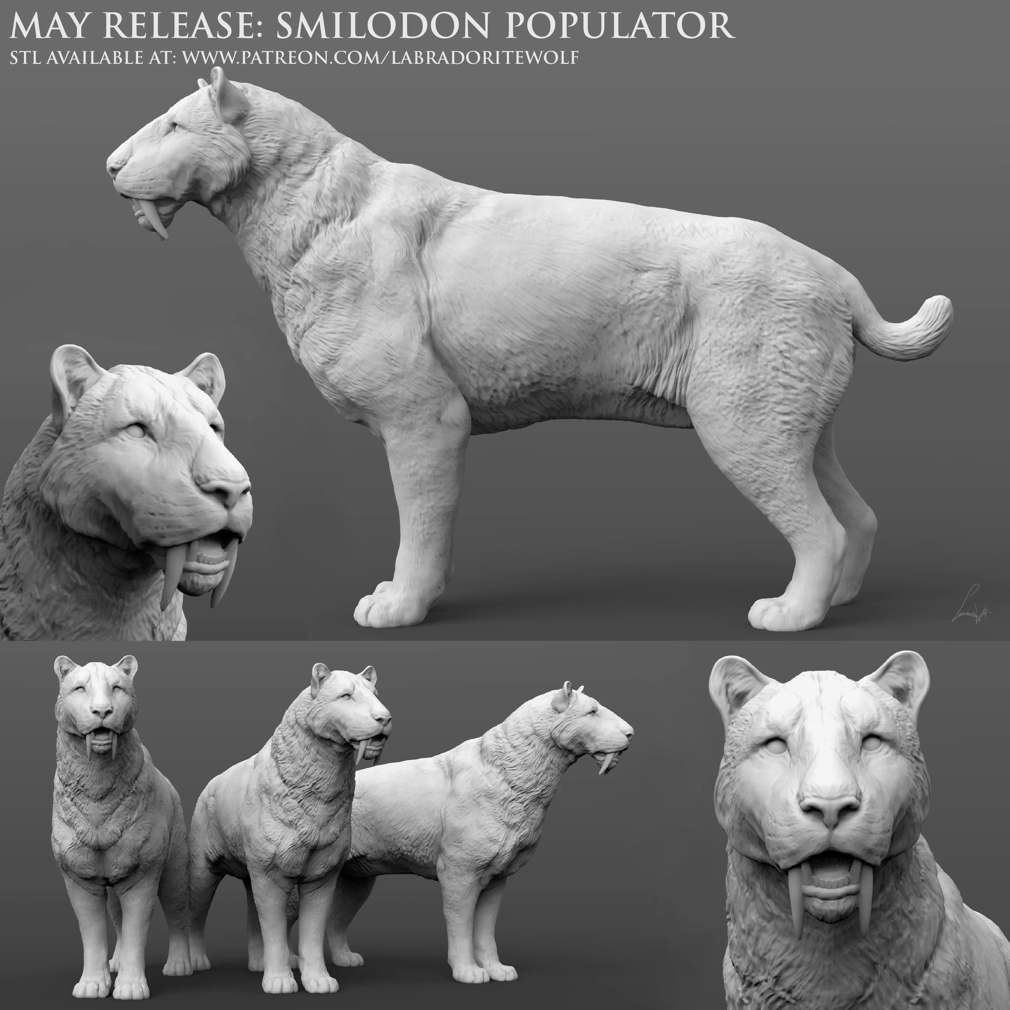 Smilodon populator Saber-Toothed Tiger alert 3D print model_0