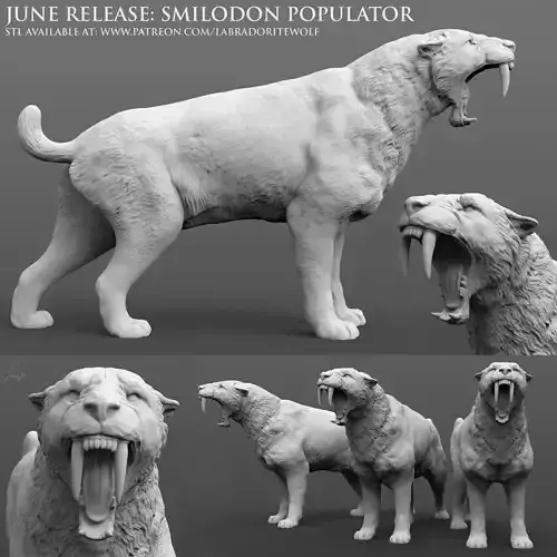 Smilodon populator Saber-Toothed Tiger roaring 3D print model