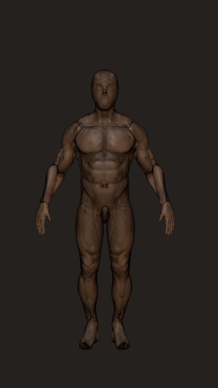 Human character base mesh 3D model_3