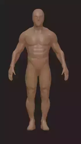 Human character base mesh