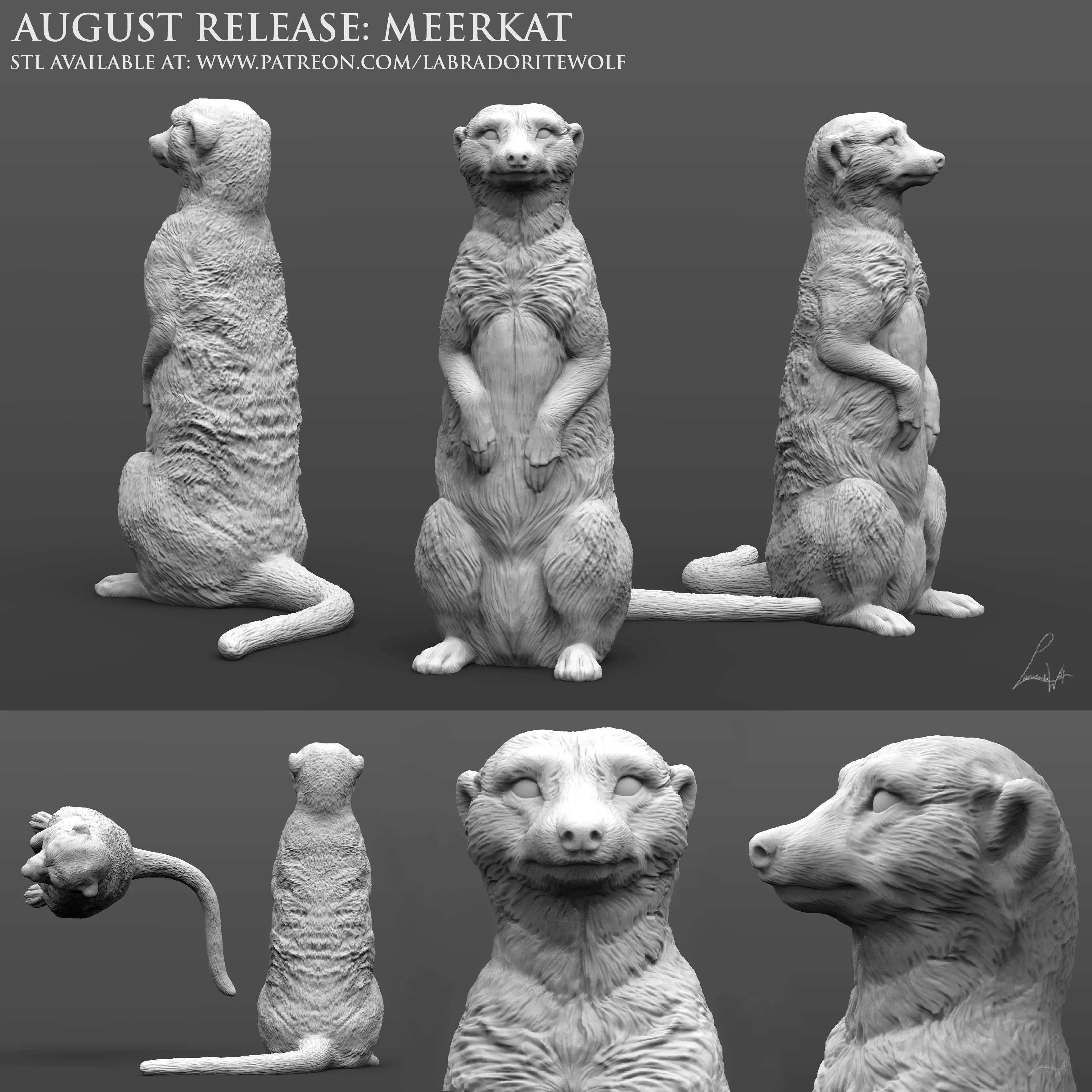 Meerkat august release 3D print model_0