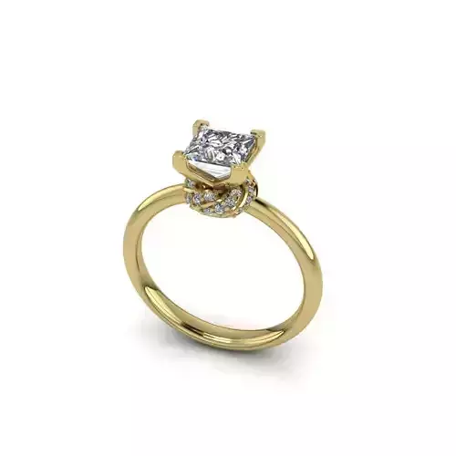 Hidden halo princess cut engagement ring