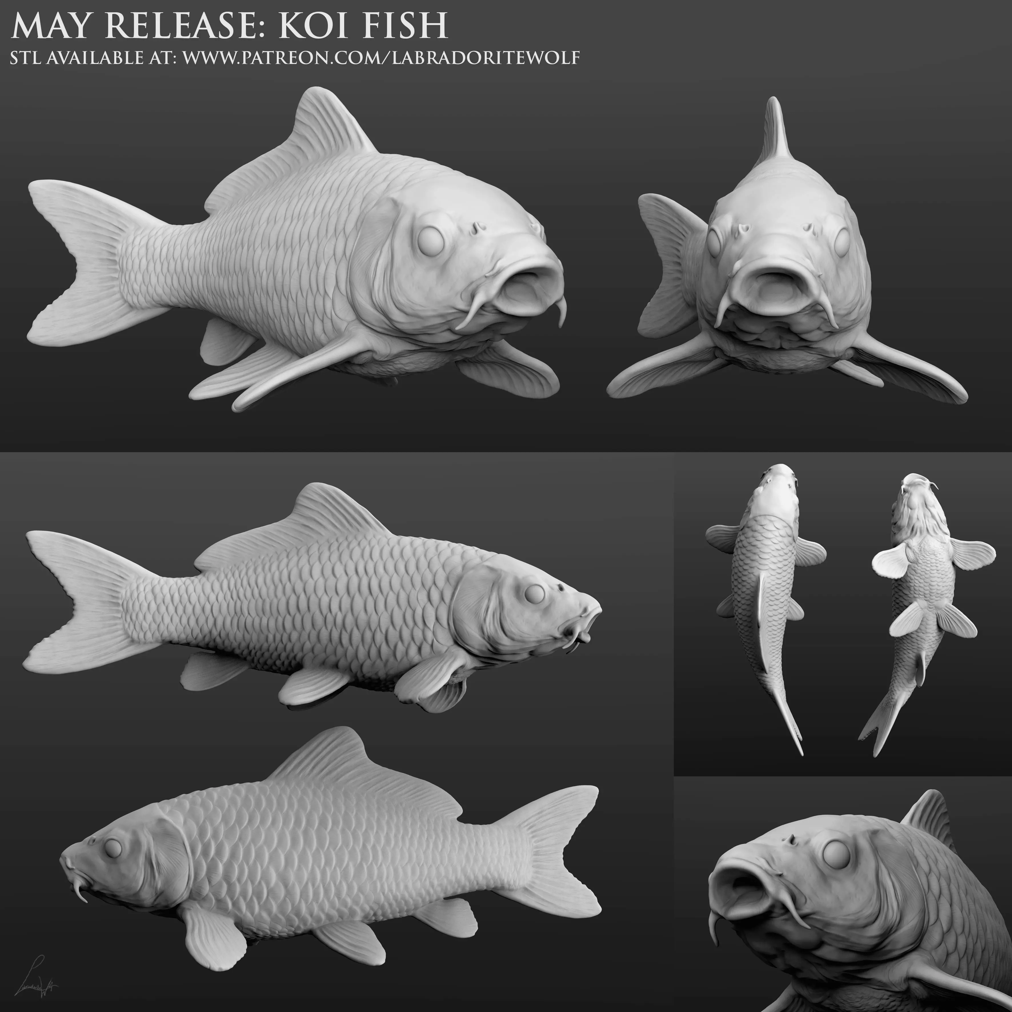 Koi Fish 3D print model_0