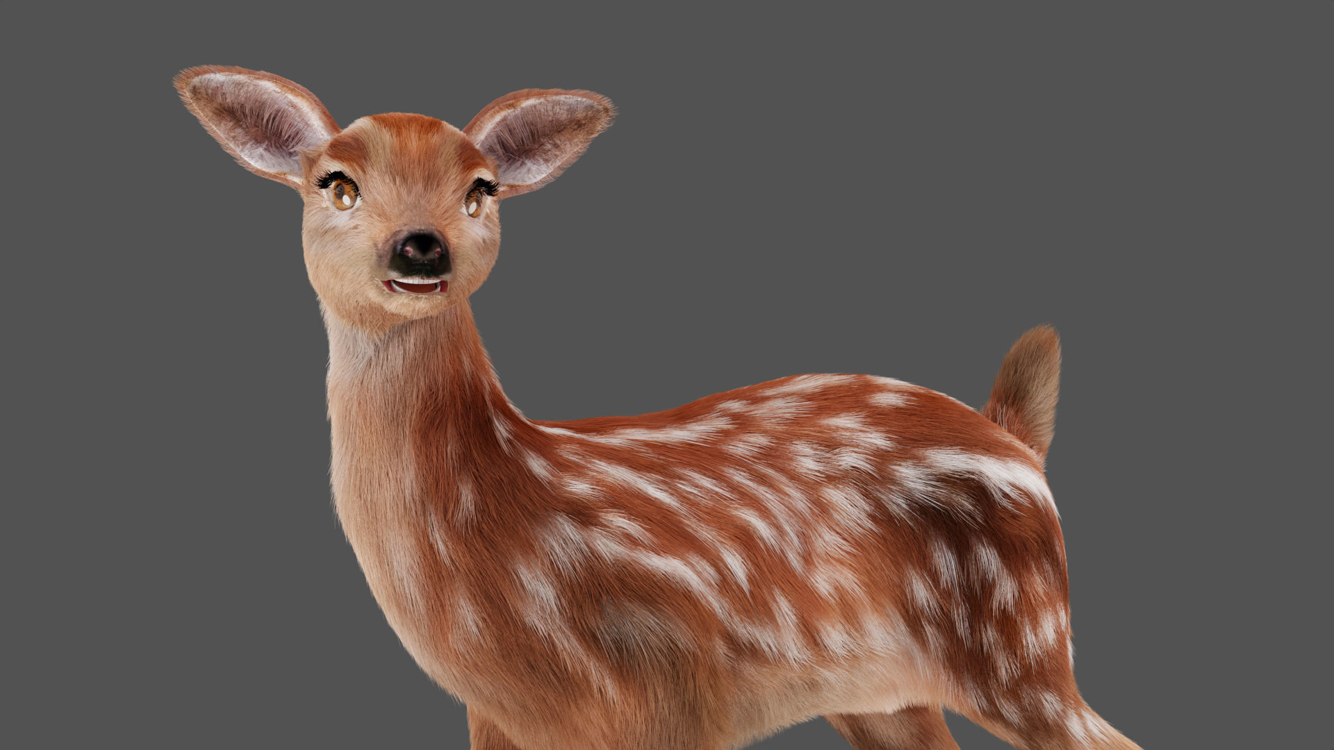 3D Fur Fawn Deer Rigged and Animated Blender Low-poly 3D model_6