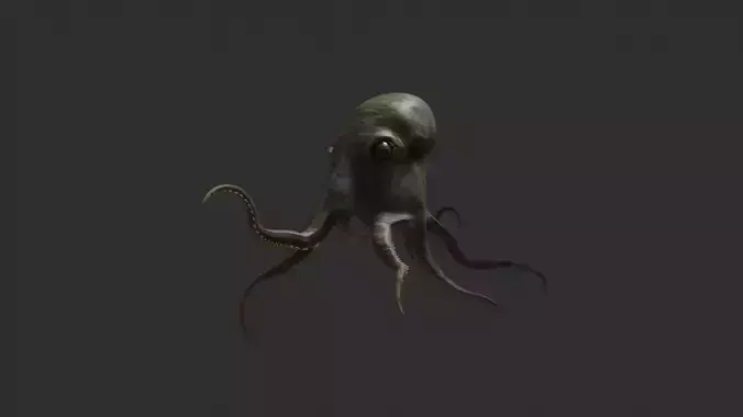 octopus