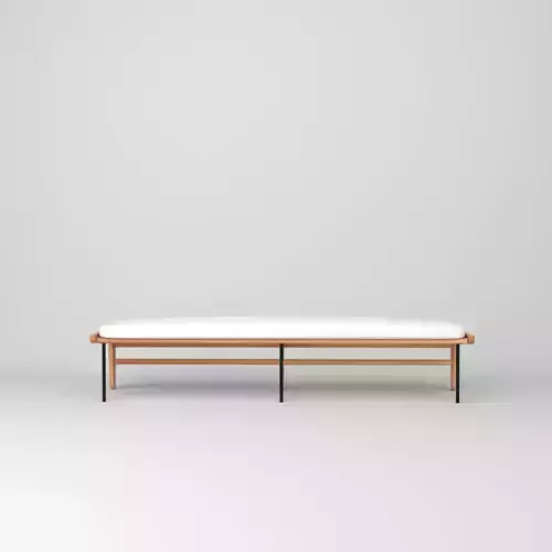 Kinney Teak Wood Outdoor Dining Bench with Cushion