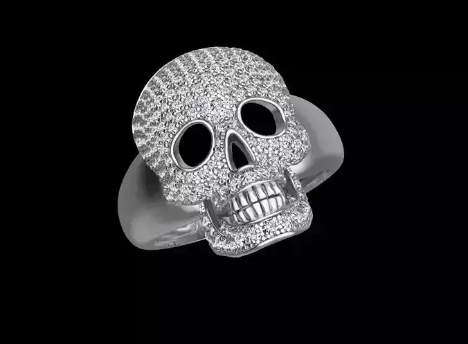 scull ring 3D print model