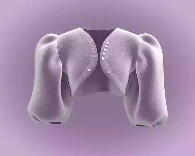 Ladies Pouf Sleeve -Velvet