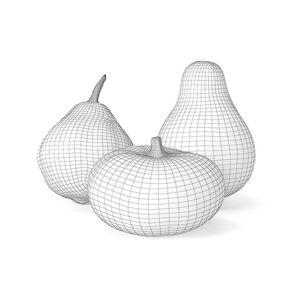 Decorative pumpkins Free 3D model_6