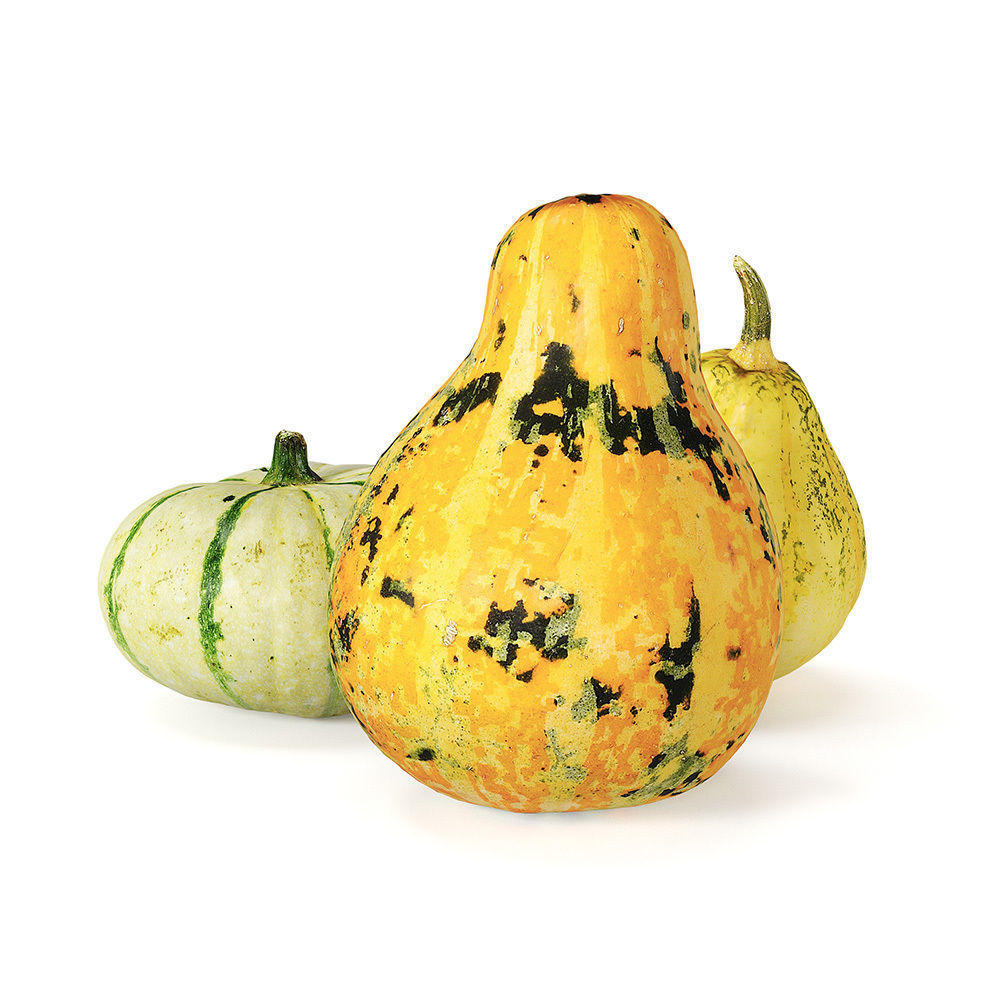Decorative pumpkins Free 3D model_3