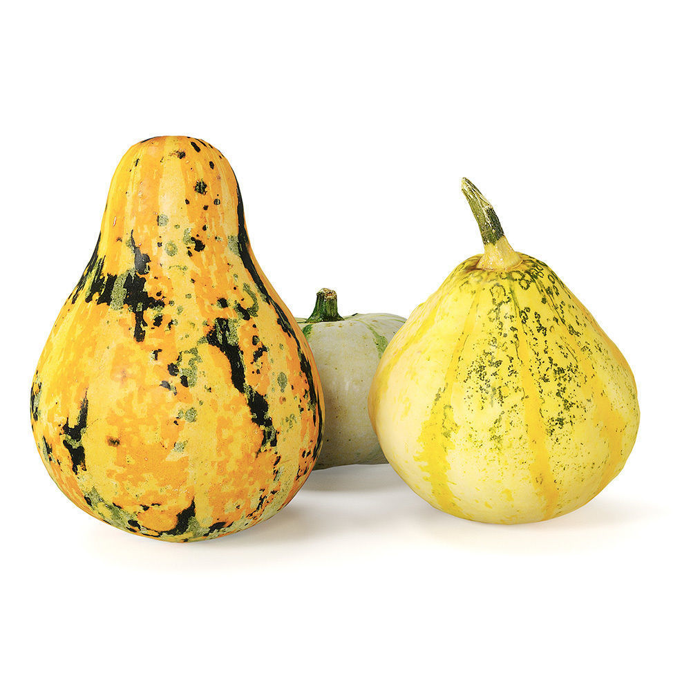 Decorative pumpkins Free 3D model_2