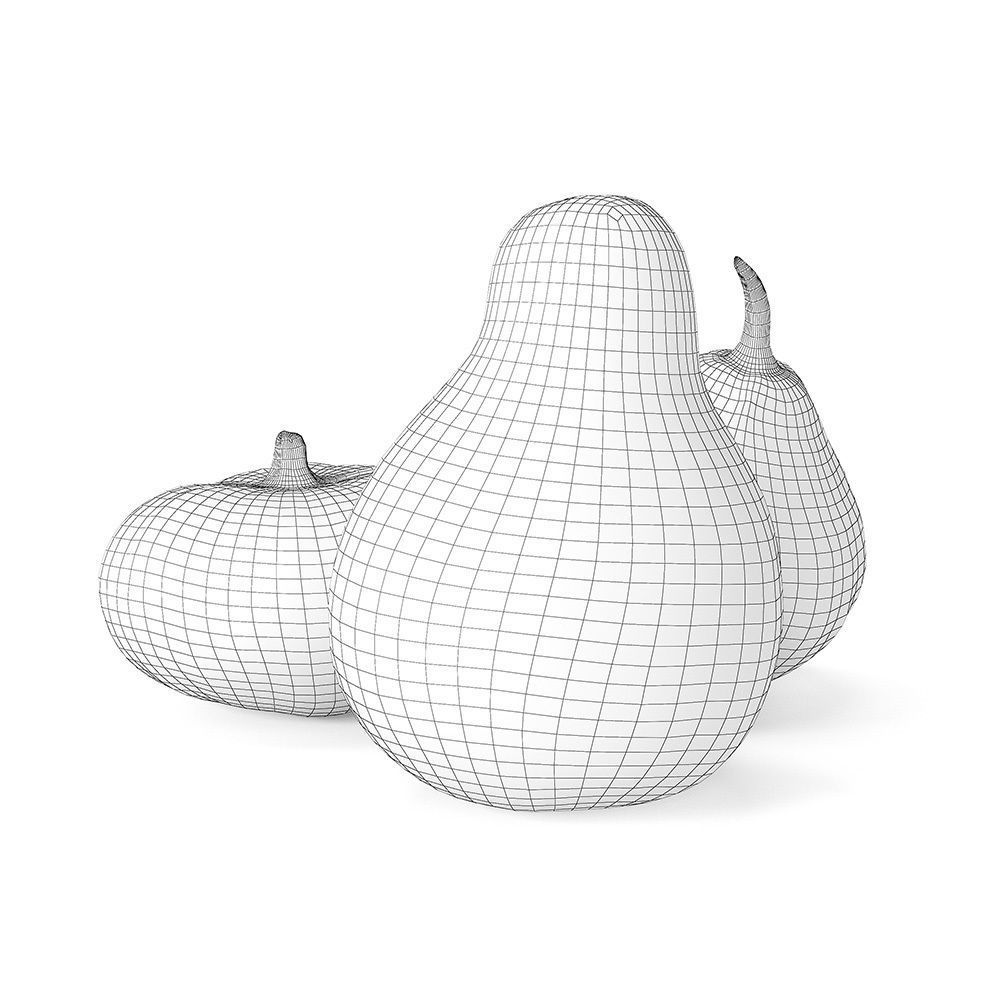 Decorative pumpkins Free 3D model_10