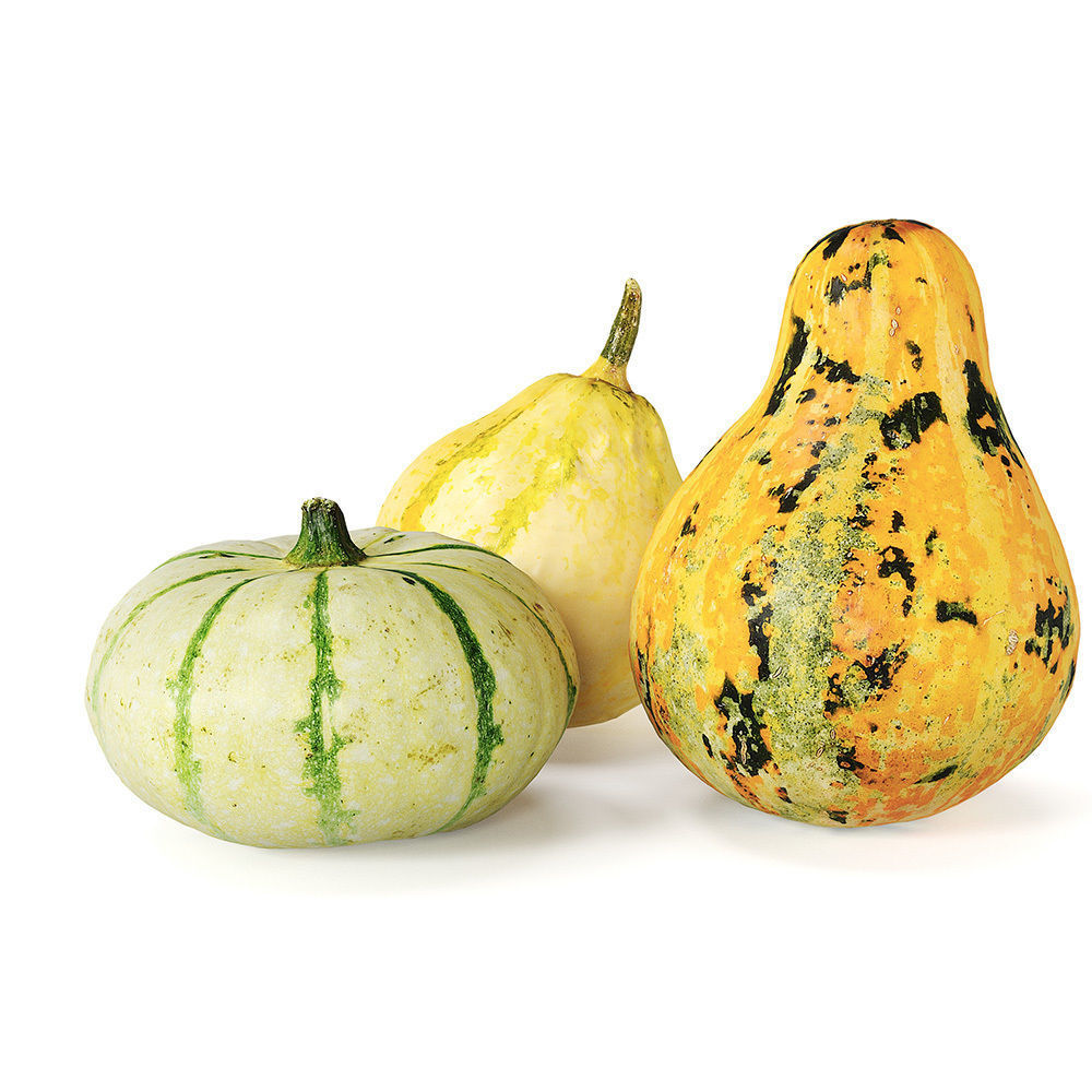 Decorative pumpkins Free 3D model_4