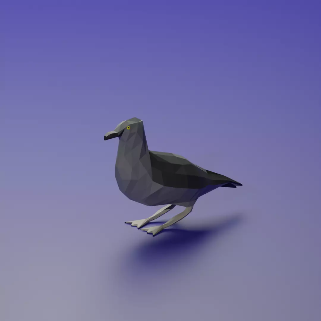 Ardenna grisea Low-poly 3D model_0