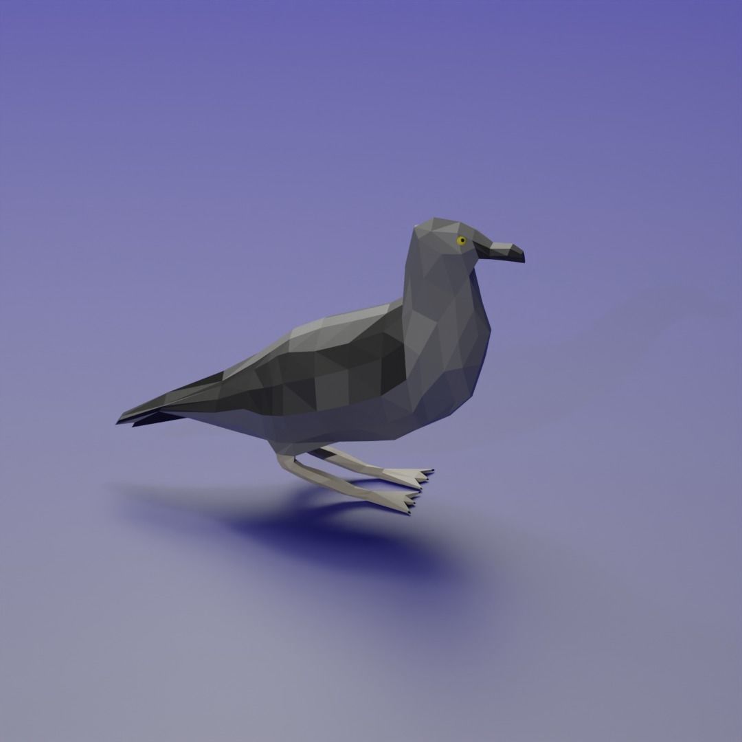 Ardenna grisea Low-poly 3D model_3