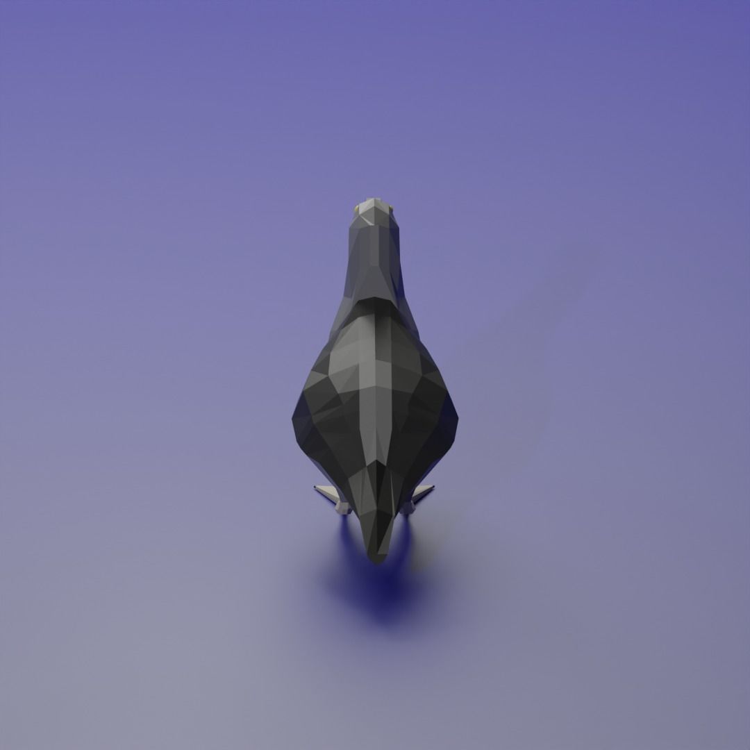 Ardenna grisea Low-poly 3D model_2