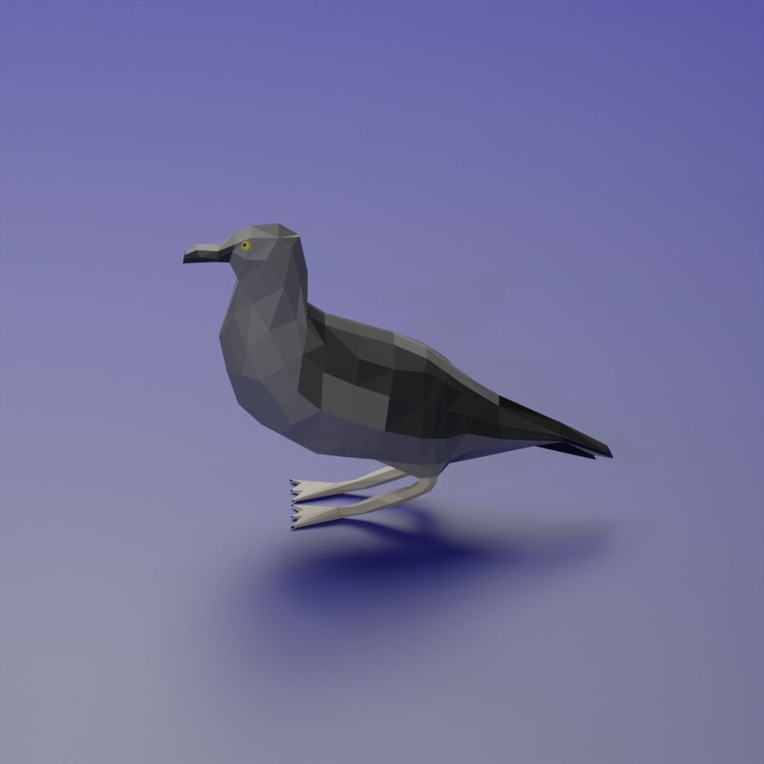 Ardenna grisea Low-poly 3D model_1