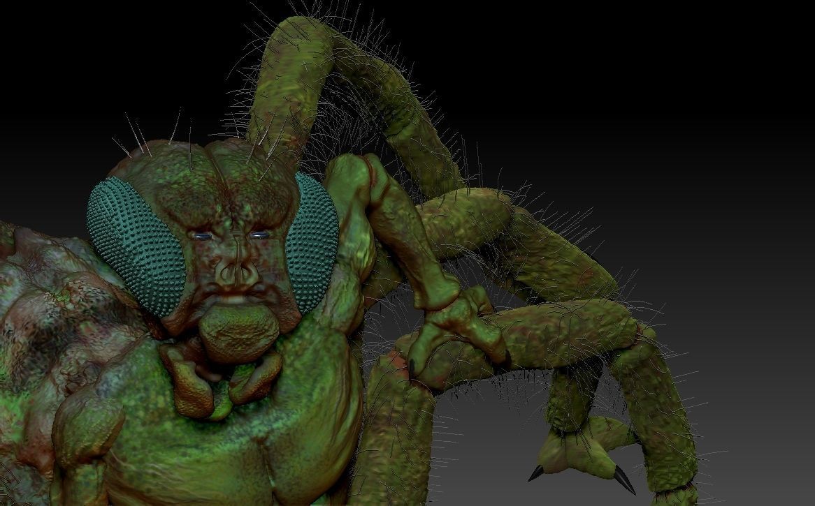 Insectorso  cartoon character  3D model_11