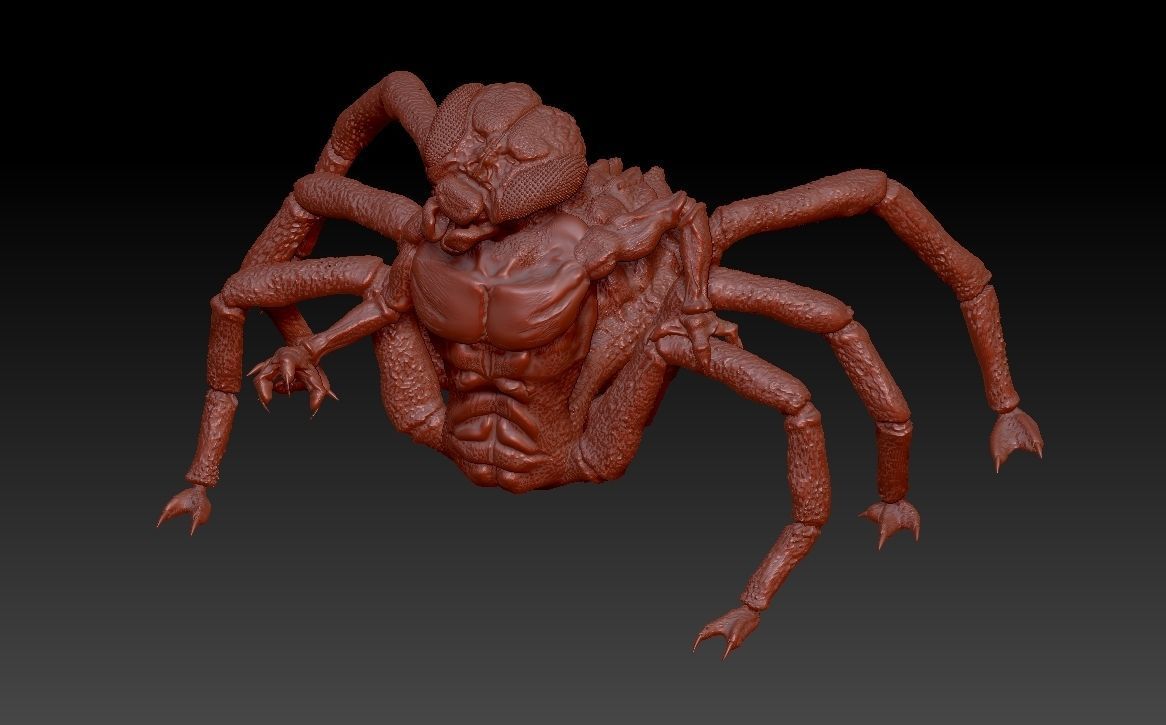 Insectorso  cartoon character  3D model_8