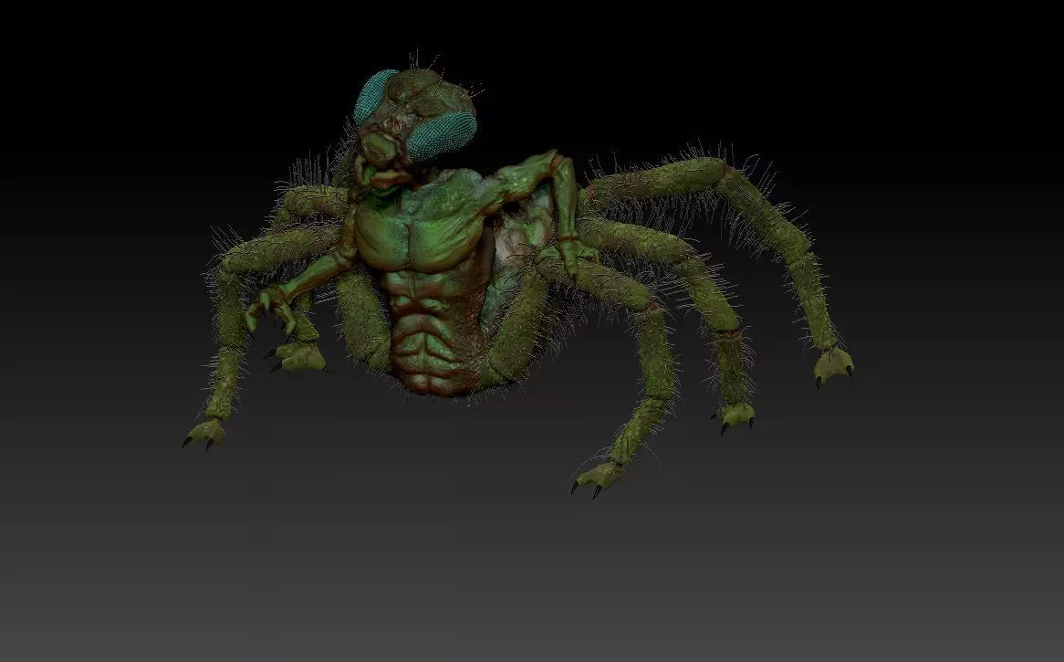Insectorso  cartoon character  3D model_0