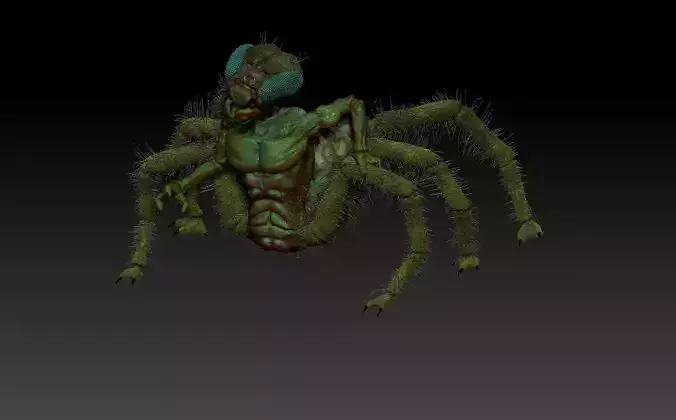 Insectorso  cartoon character  3D model Insectorso  cartoon character  3D model