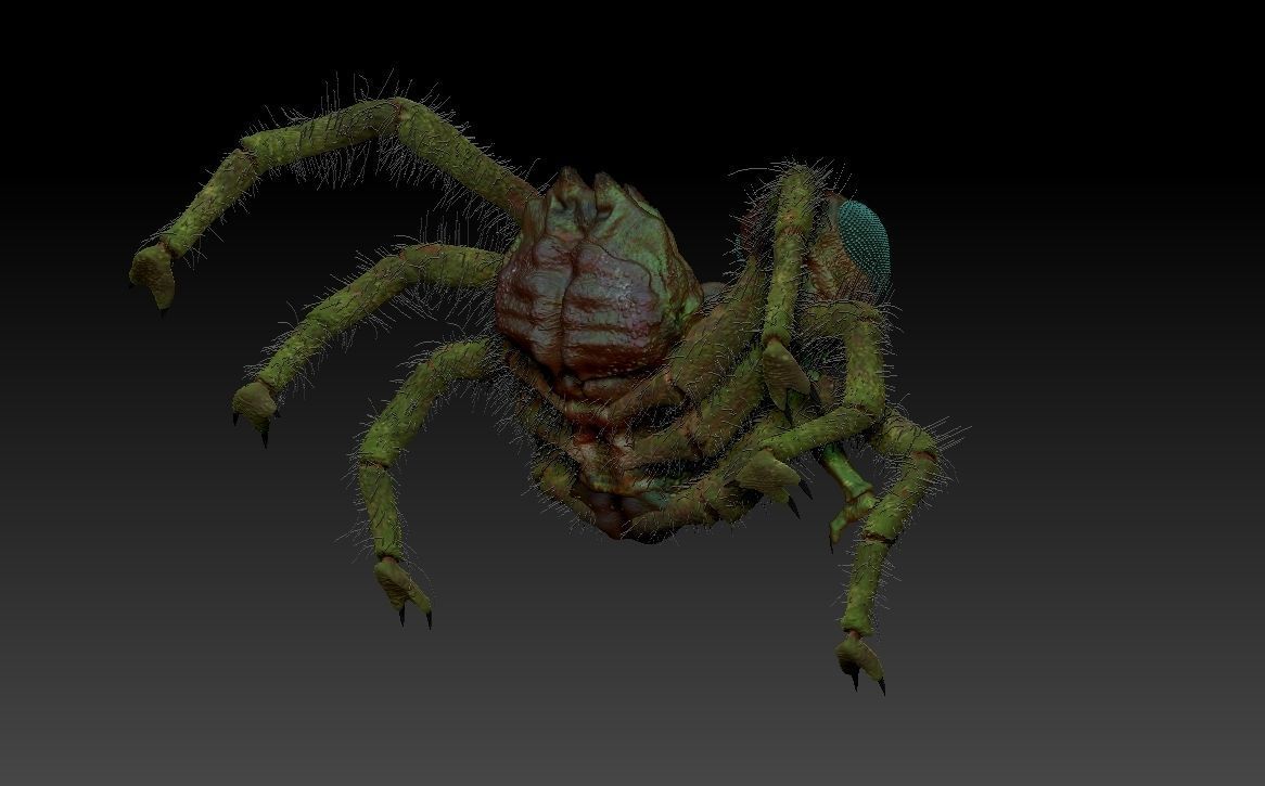 Insectorso  cartoon character  3D model_10