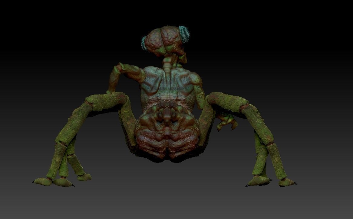 Insectorso  cartoon character  3D model_2