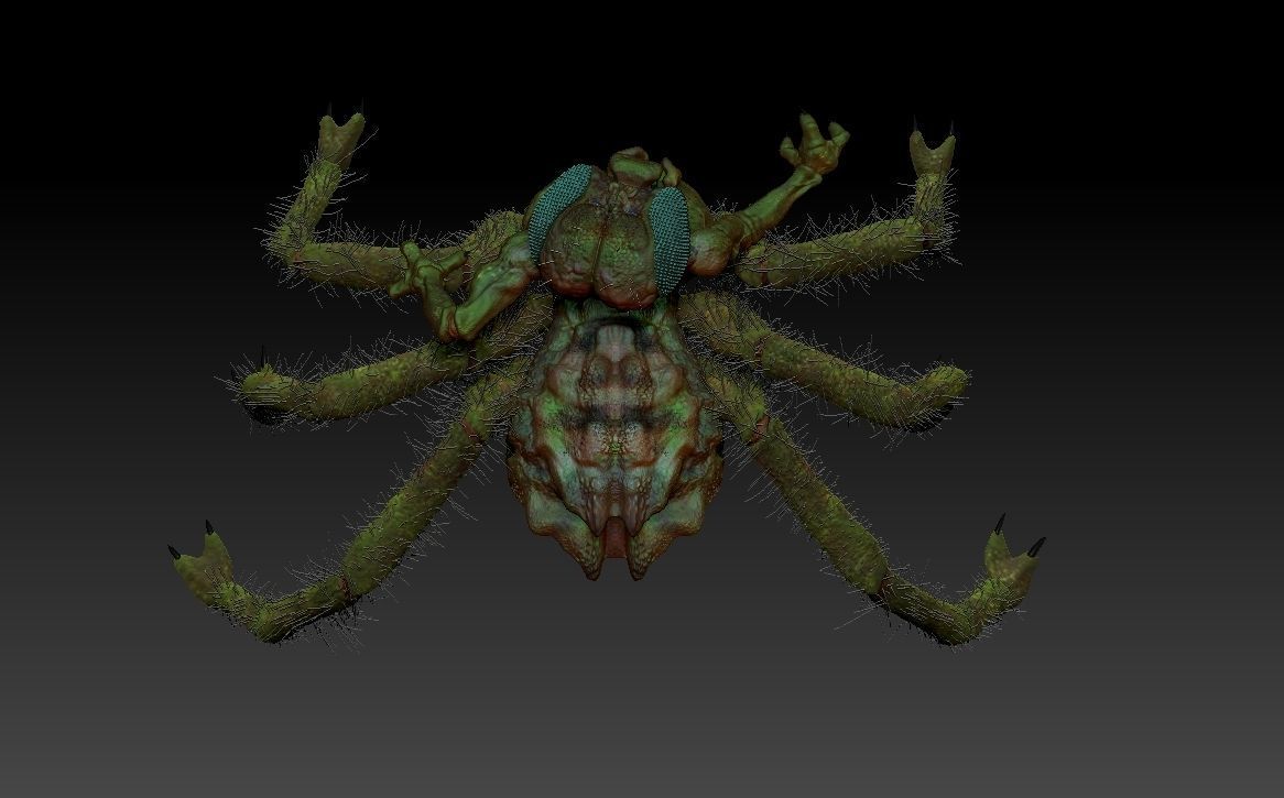 Insectorso  cartoon character  3D model_9