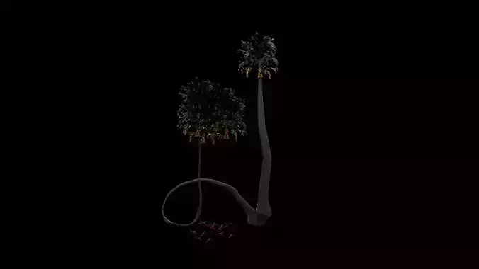 Palm tree Free 3D model