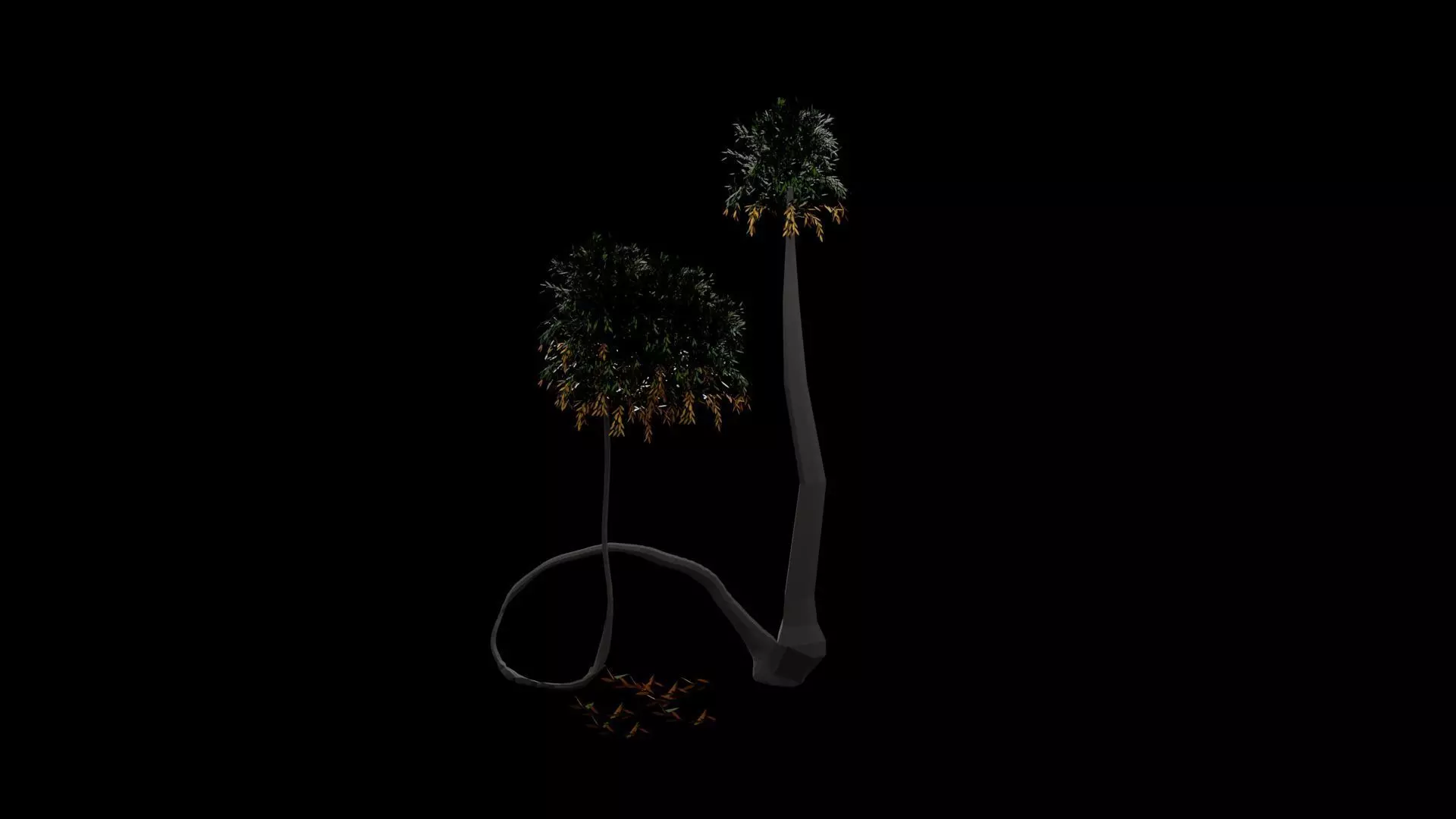 Palm tree Free 3D model