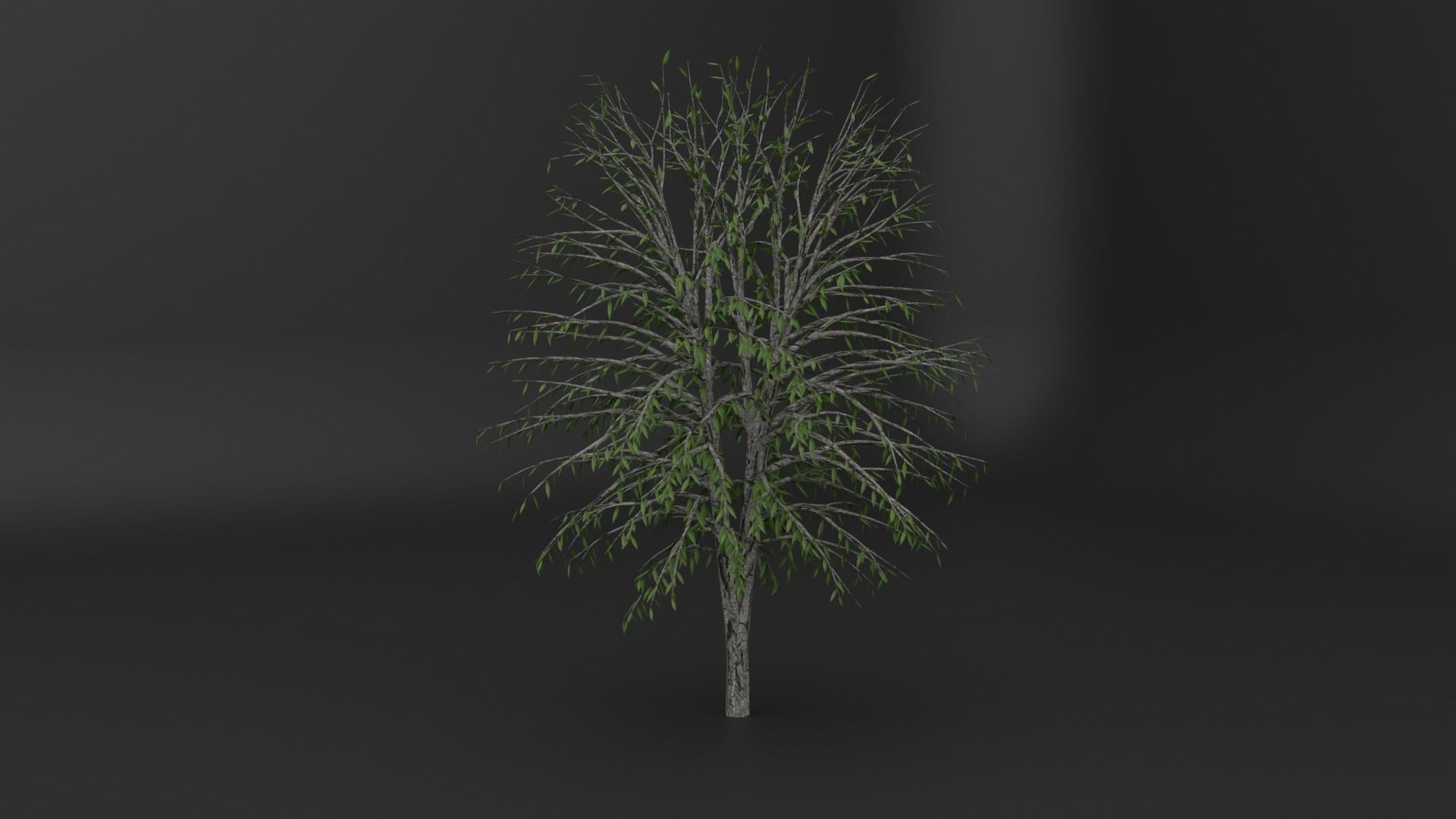 PBR tree asset pack  3D model_7