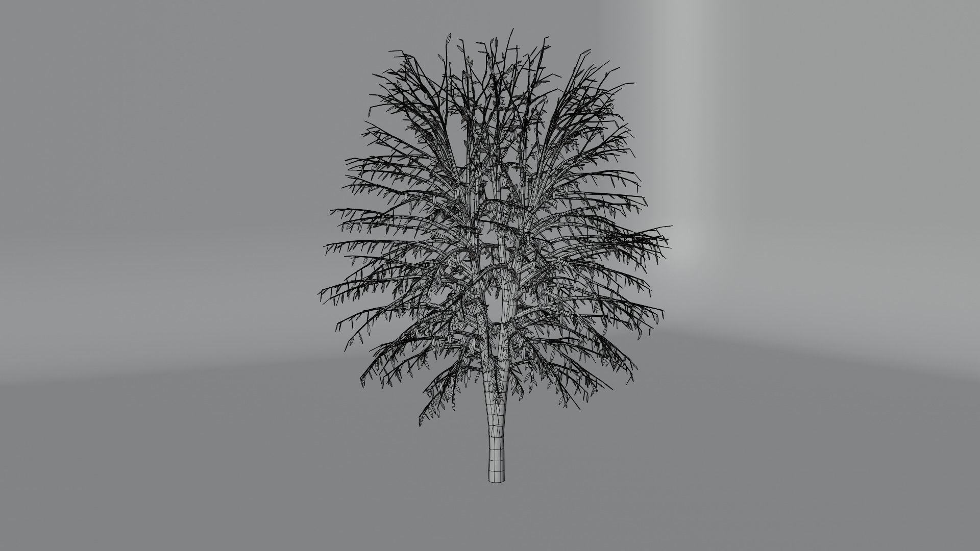 PBR tree asset pack  3D model_8