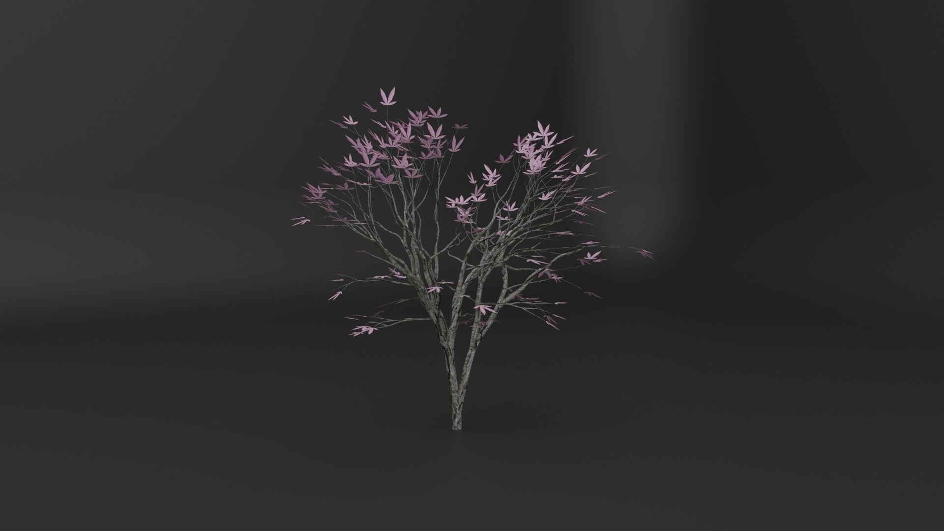 PBR tree asset pack  3D model_5