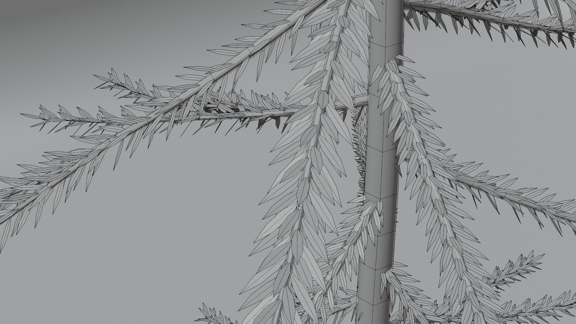PBR tree asset pack  3D model_11