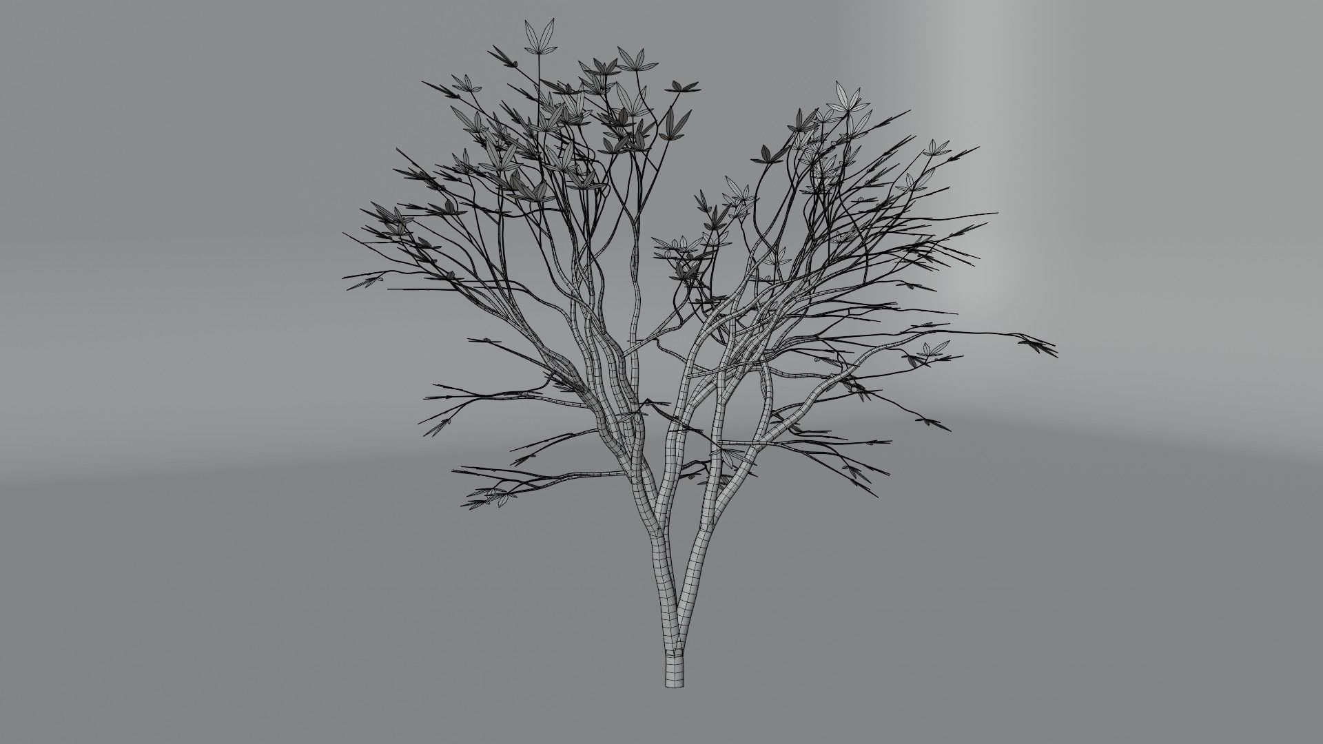 PBR tree asset pack  3D model_6