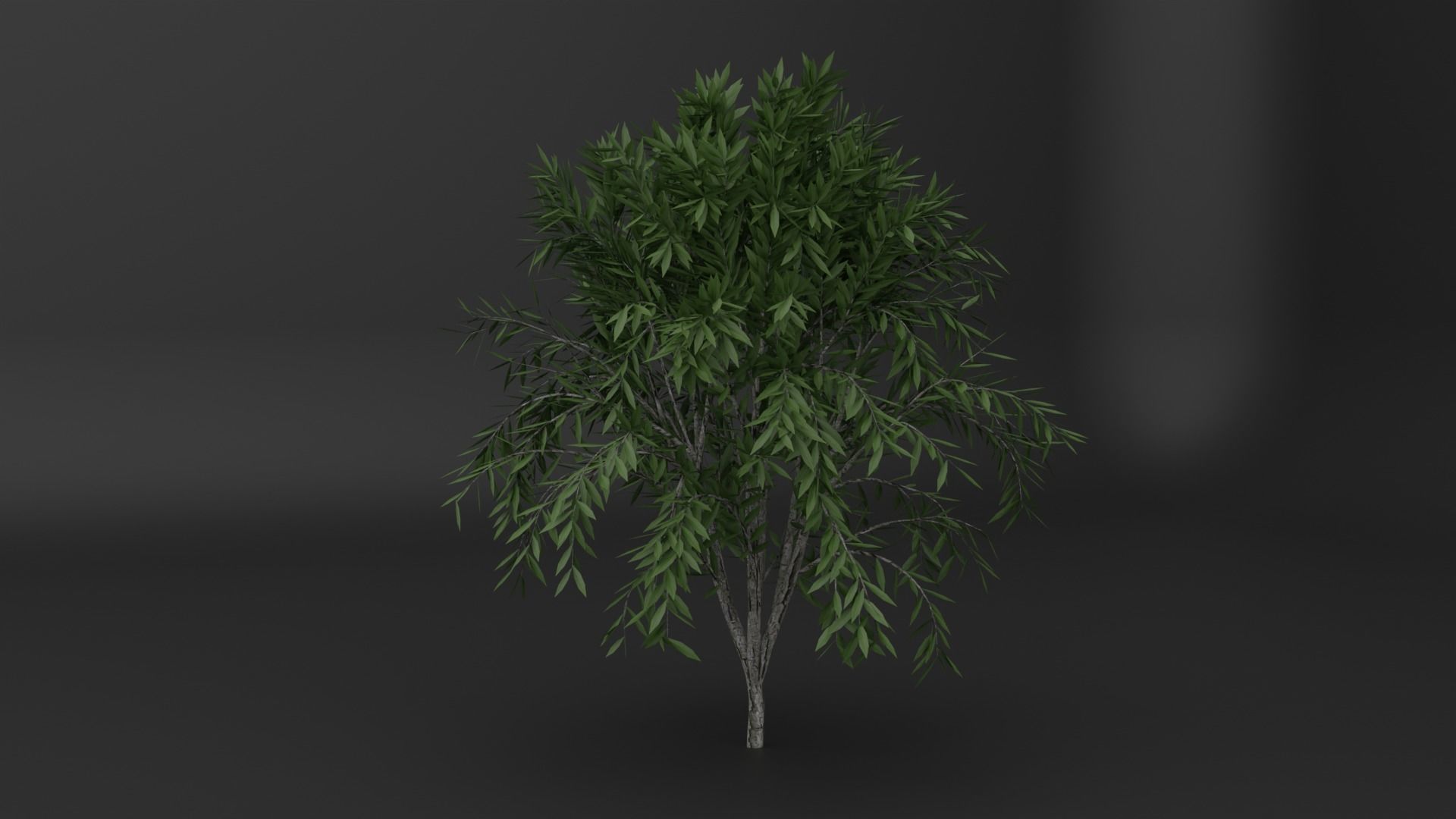 PBR tree asset pack  3D model_2