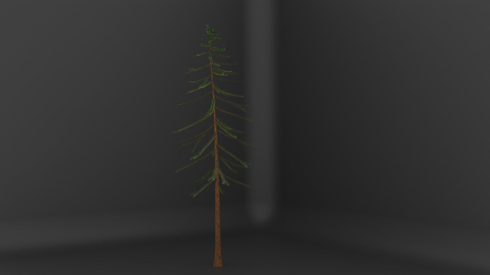 PBR tree asset pack  3D model_9