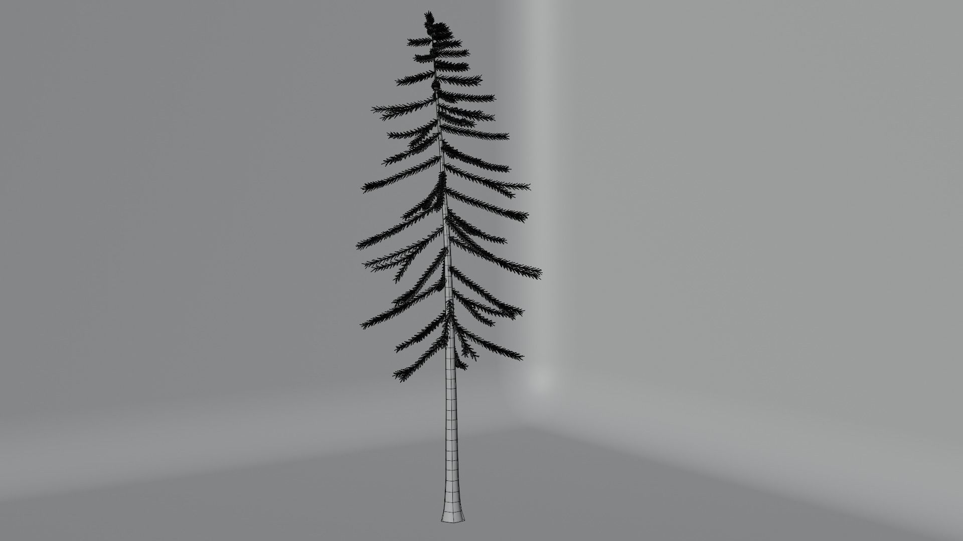 PBR tree asset pack  3D model_10