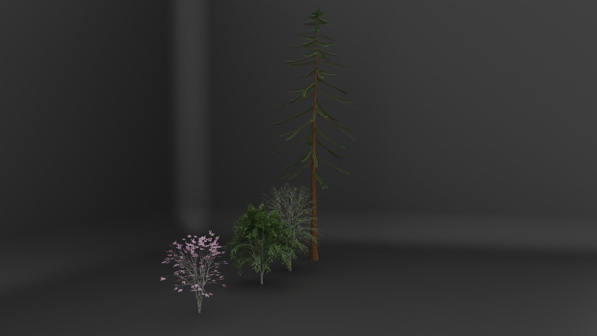 PBR tree asset pack  3D model_1