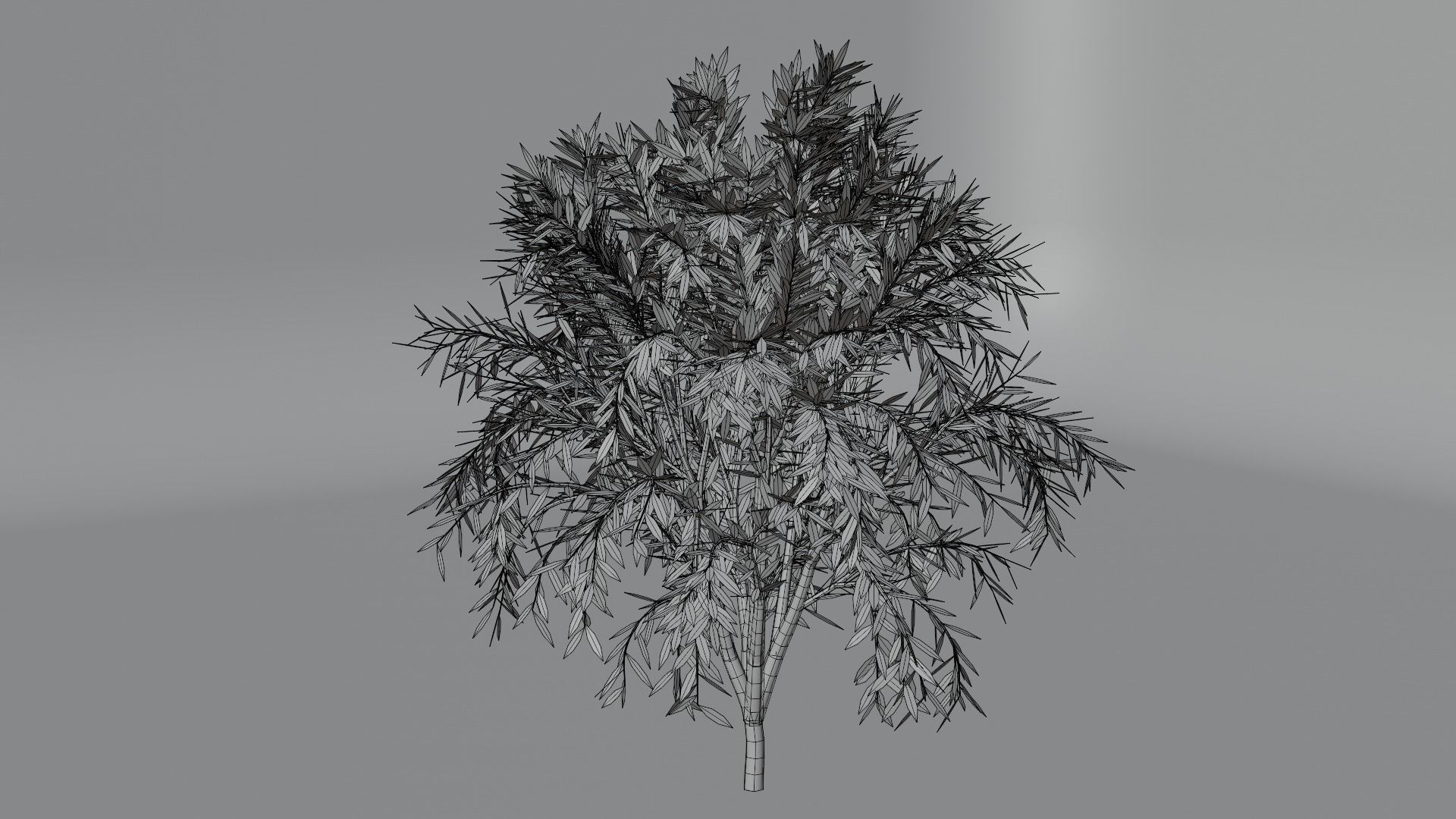 PBR tree asset pack  3D model_3