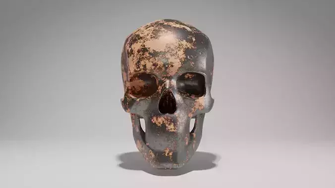 Skull 3D human from ancient egypt