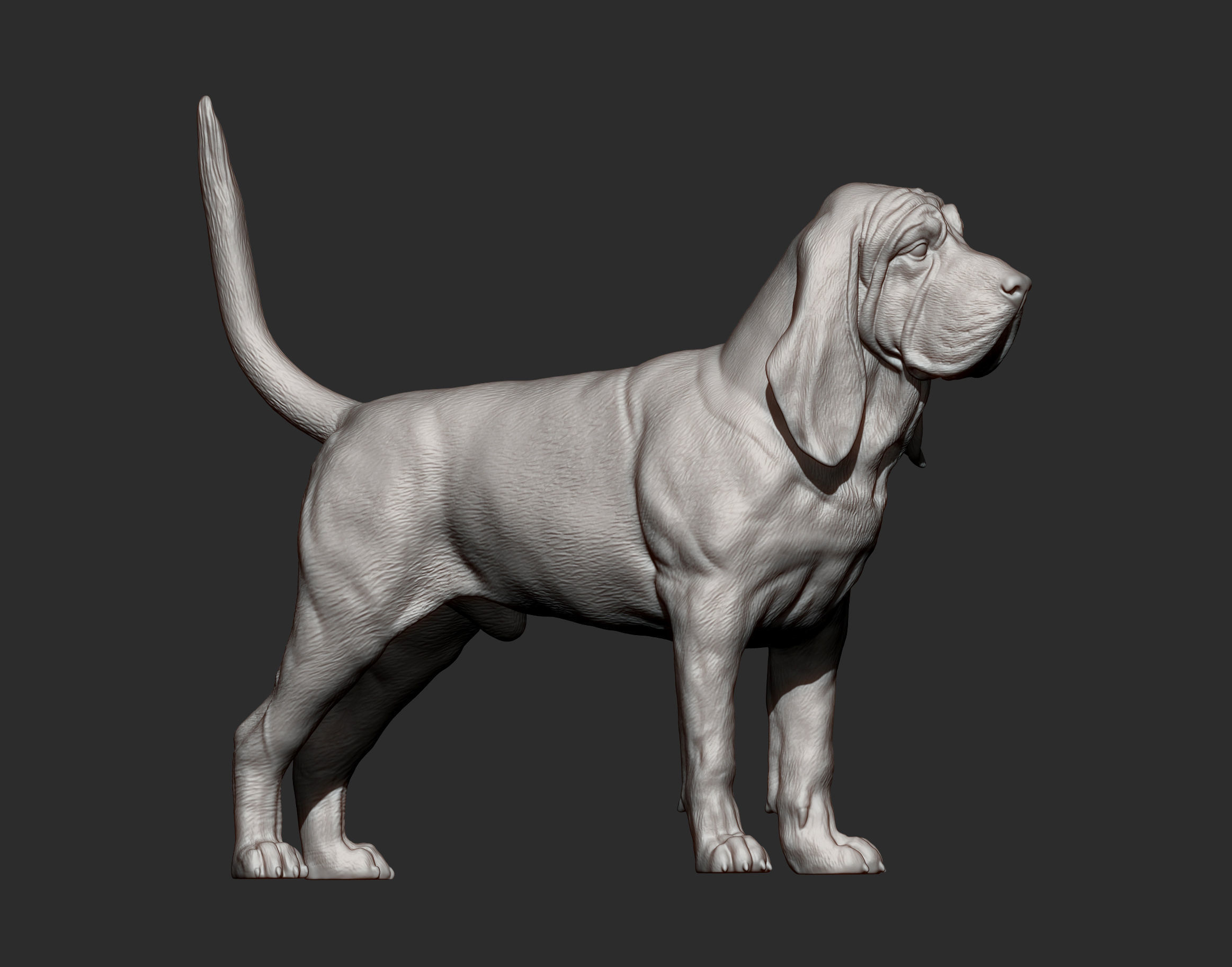 BLOODHOUND 3D print model_11