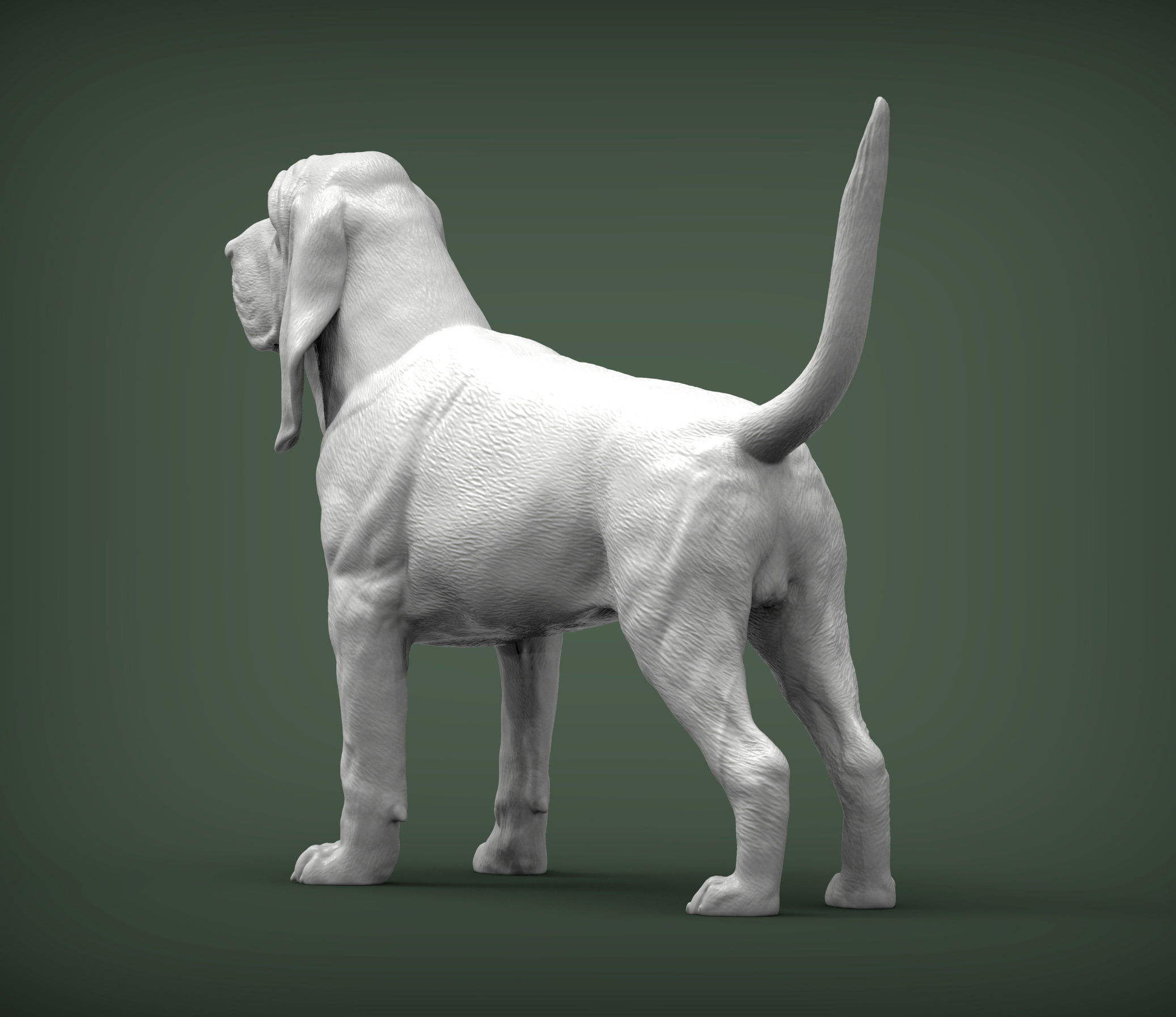 BLOODHOUND 3D print model_5